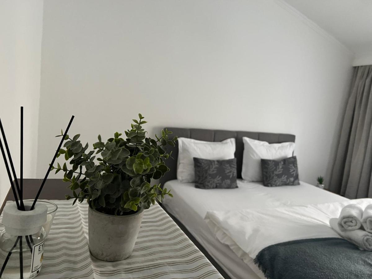 Green Holidays Cluj-Napoca Ngoại thất bức ảnh